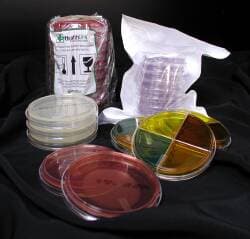 Microbiology